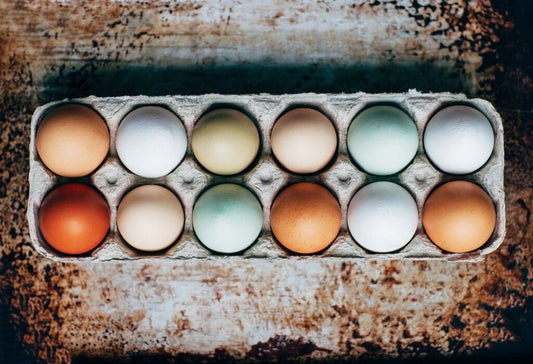 Analyses de PFAS dans les œufs