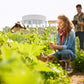 Testing soil for PFAS