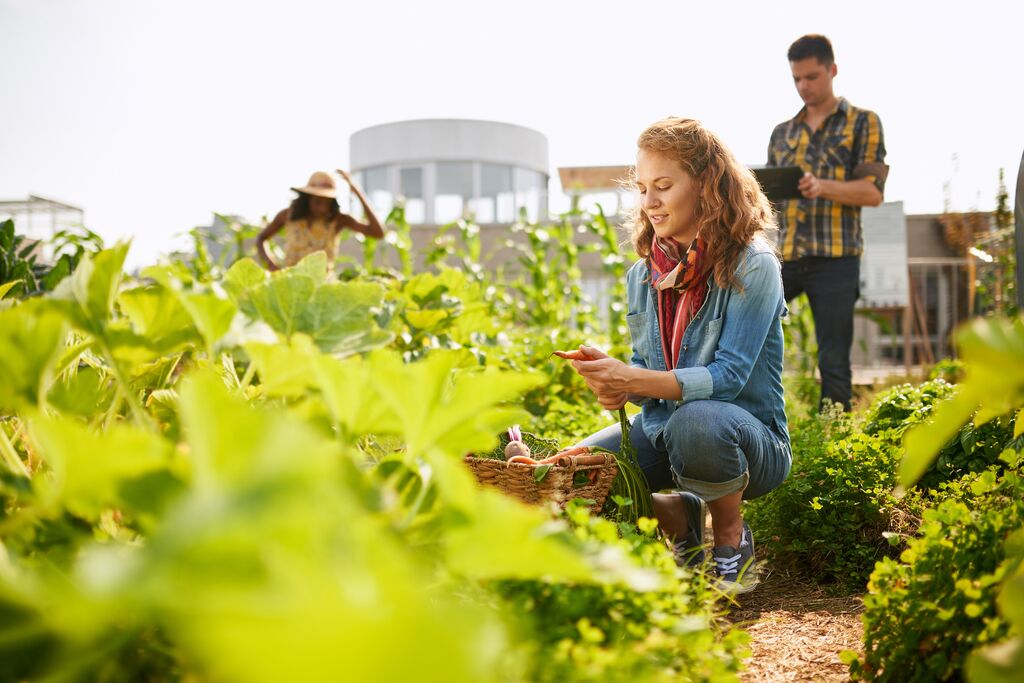 Testing soil for PFAS